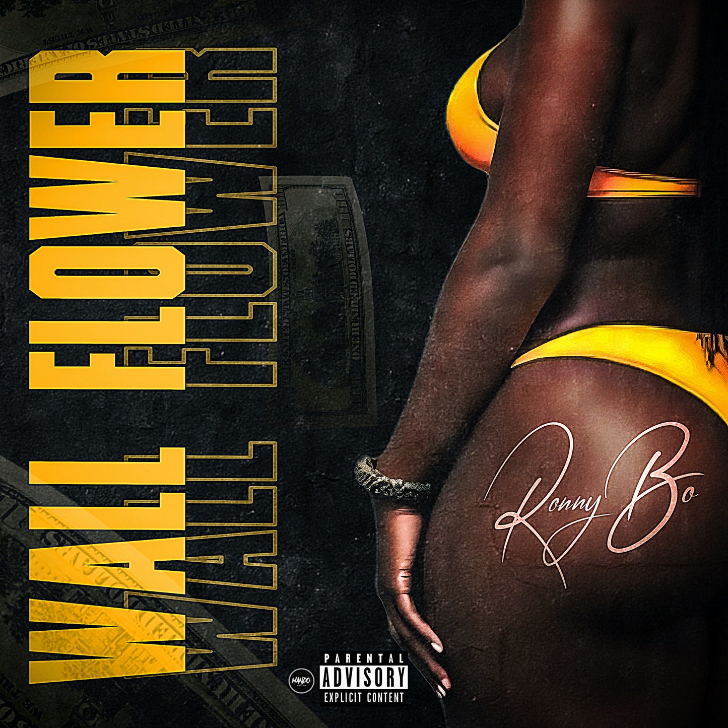 DIGITAL CUSTOM DETAILED COVER ART (PREMIUM) - MandoFxCoverArt